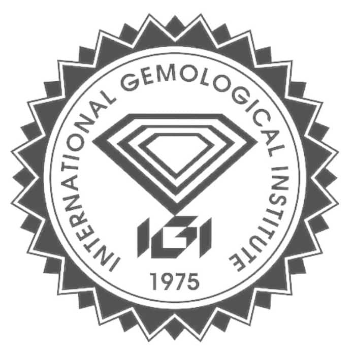 IGI logo